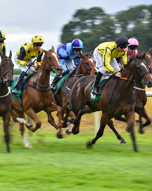 Afternoon Racing At Thirsk Races