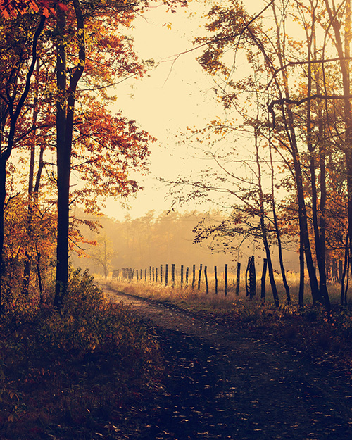 Autumn Quiet Day