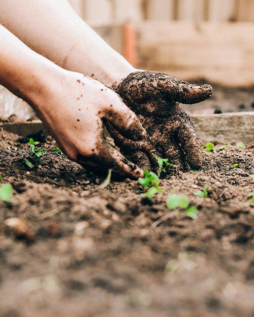 Sowerby WI April 2026 Meeting