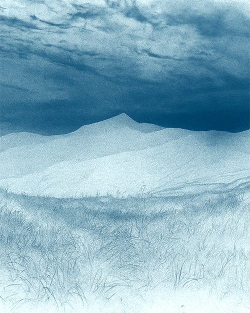 Developing Cyanotype Digital Negatives