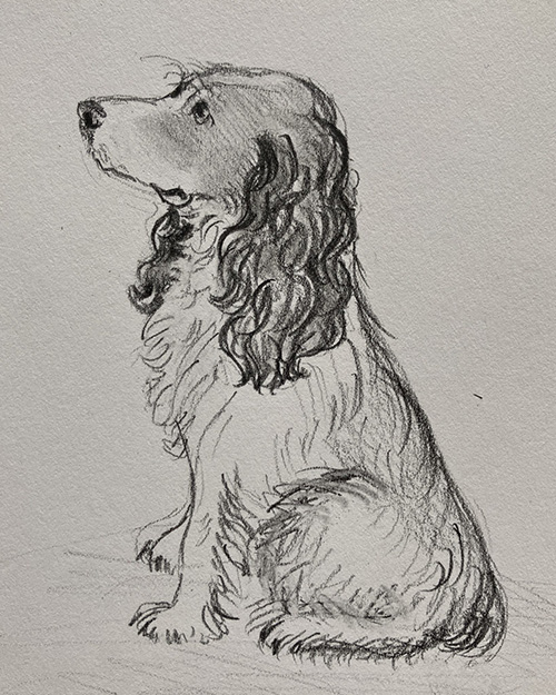 Draw and Paint Dogs Workshop