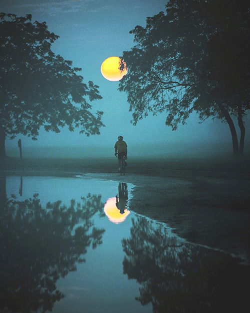 Moonlight Glow Walk
