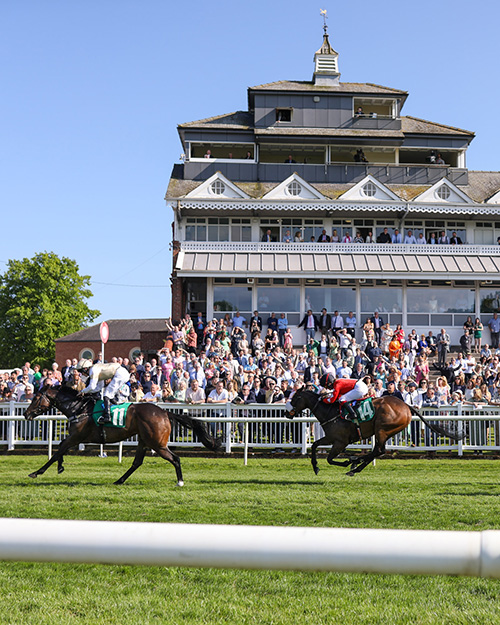 Thirsk Races Season Finale September 2026