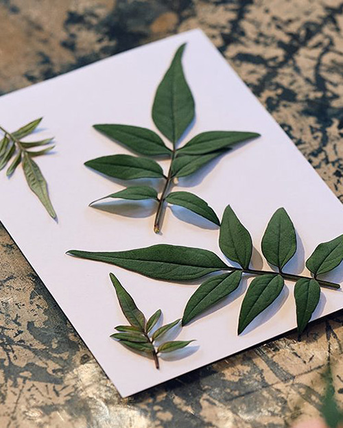 Observing the Seasons Springerving the Seasons Spring