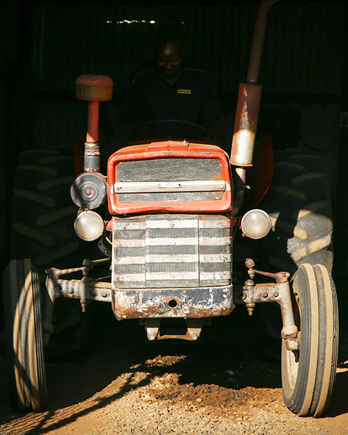 Thirsk Heritage Show