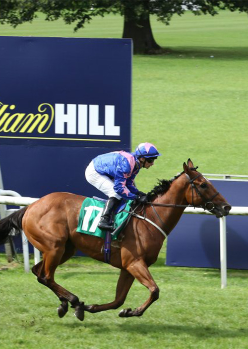 The William Hill Summer Cup