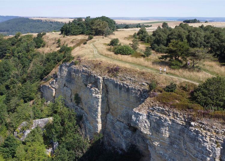 Visit Thirsk Town Gallery Home